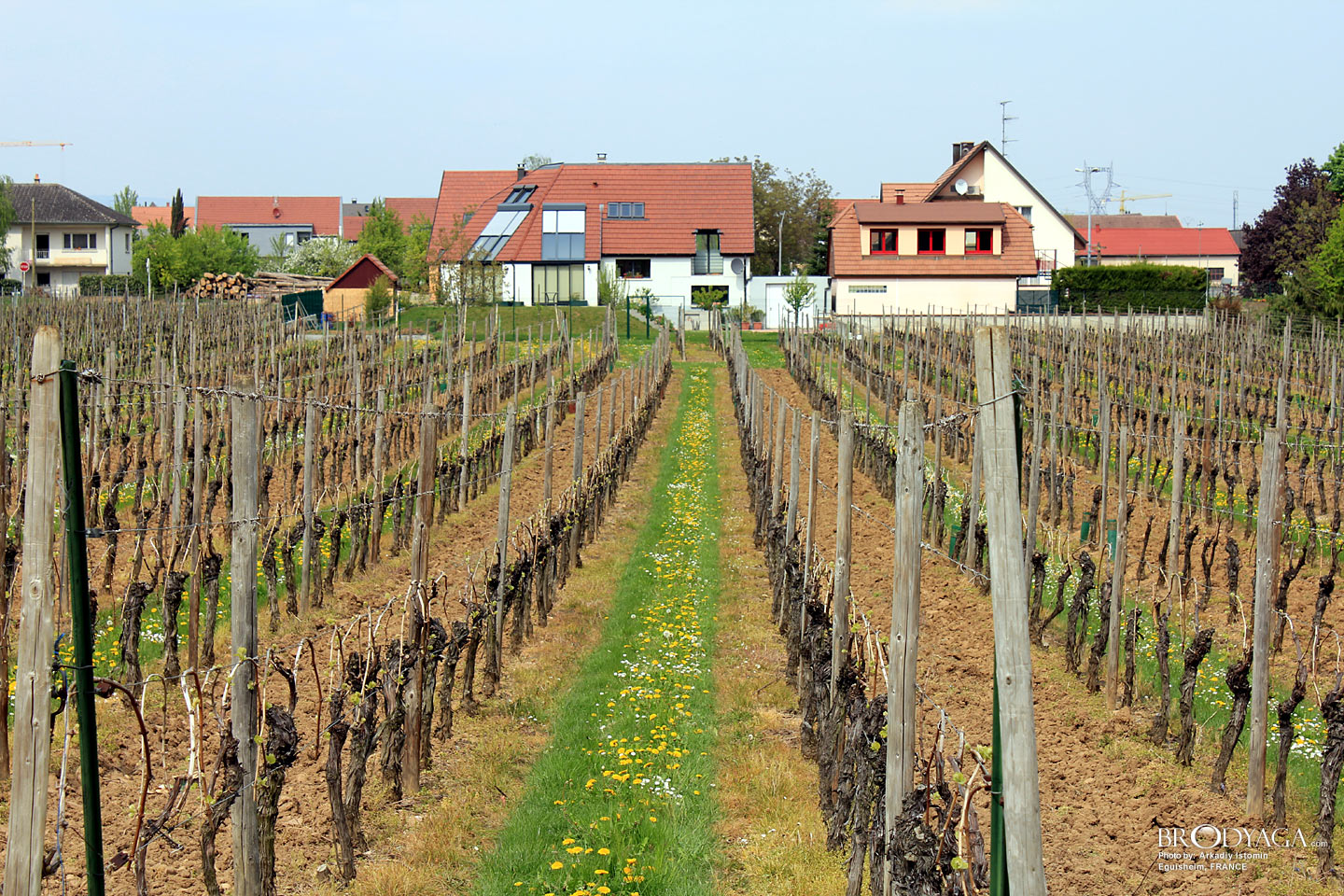 Eguisheim